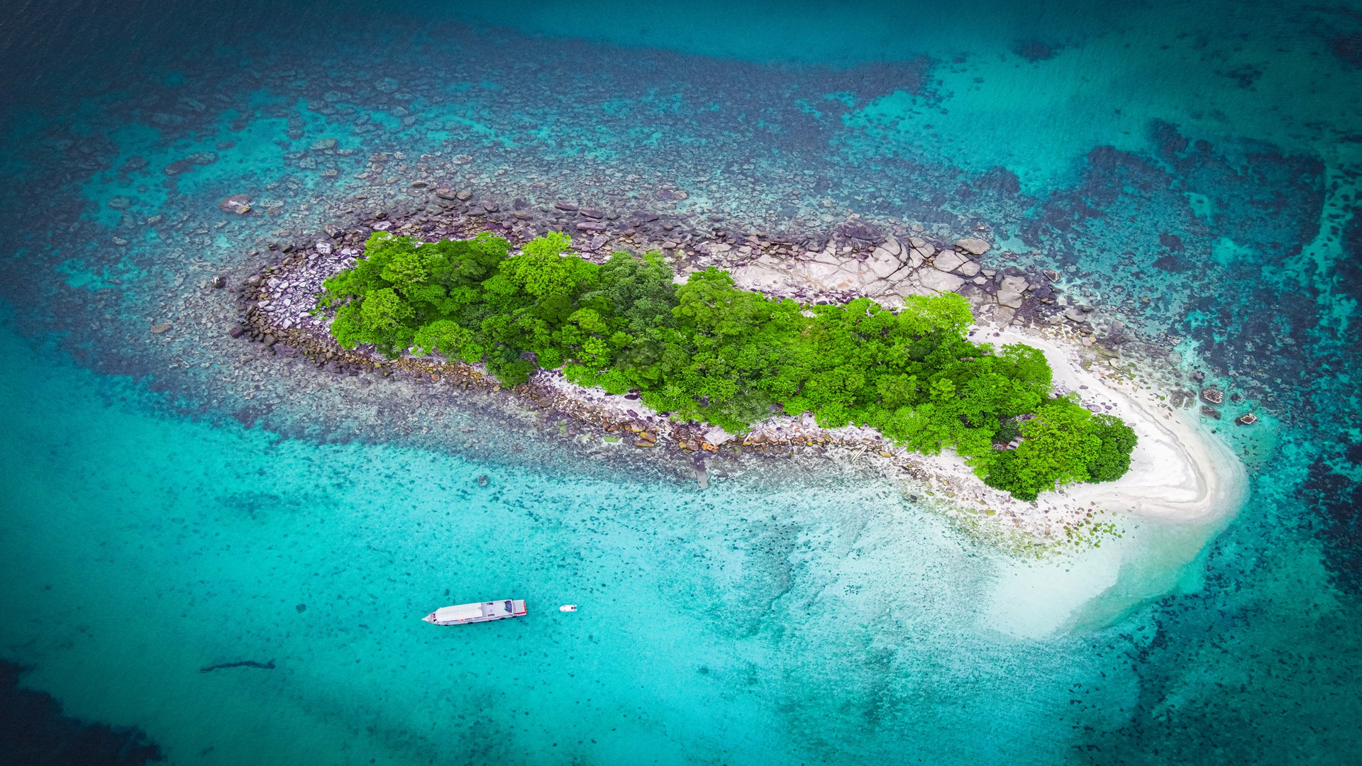 Underwater marine life in Koh Rong islands